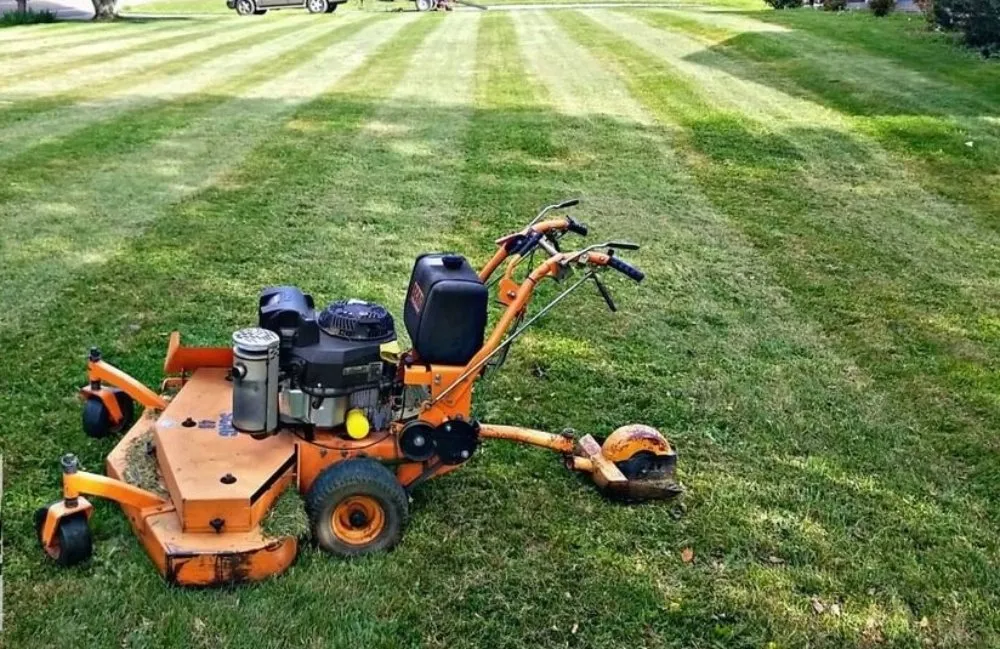 Affordable yard cleanup service experts serving Knoxville, TN - Rodriguez Land Management