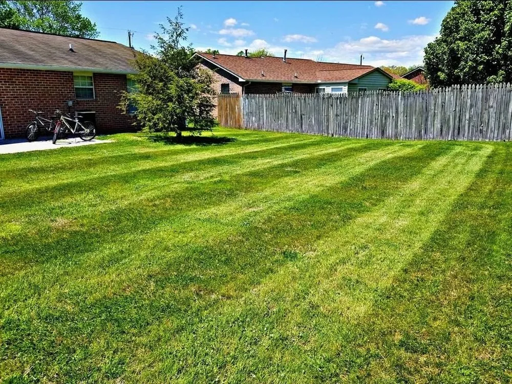 Expert yard maintenance near you across Knoxville, TN - Rodriguez Land Management