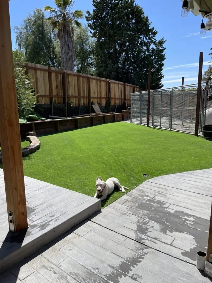 Trusted landscape design for year-round maintenance in Concord, CA by Rodriguez Landscape & Construction