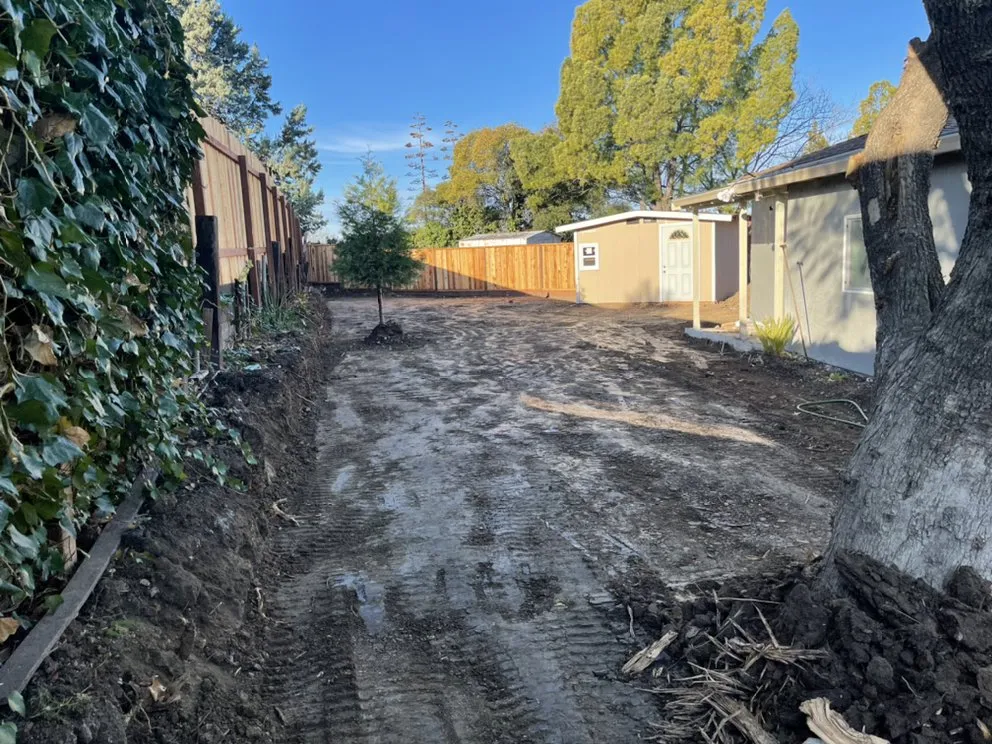 Affordable landscaping services in Concord, CA by Rodriguez Landscape & Construction