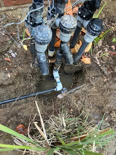 Local lawn care service for homes in Hemet, CA by Rodriguez Landscape and Irrigation