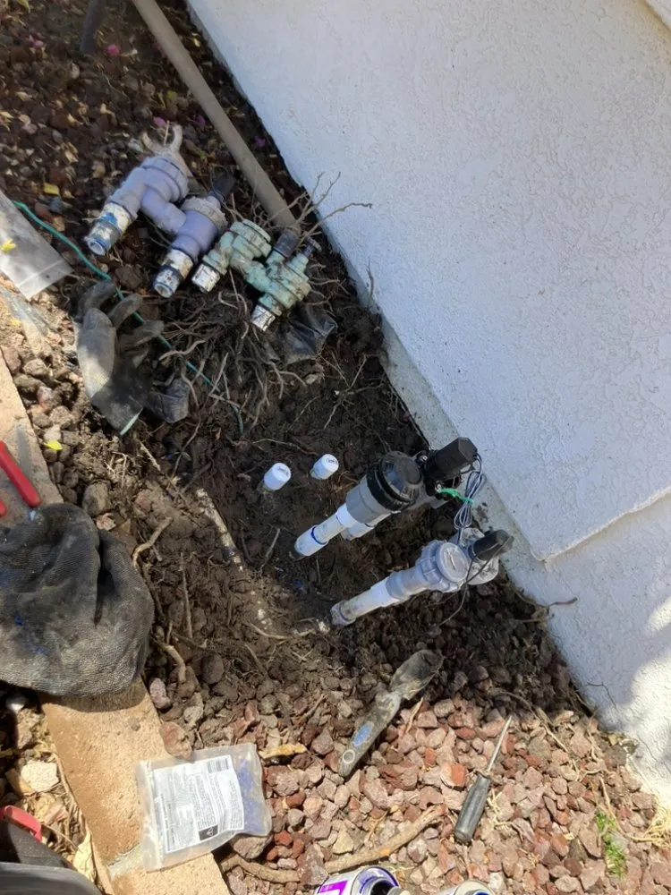 Expert lawn care service for beautiful yards across Hemet, CA - Rodriguez Landscape and Irrigation