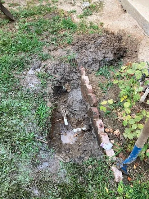 Top-rated lawn care service for beautiful yards across Hemet, CA - Rodriguez Landscape and Irrigation