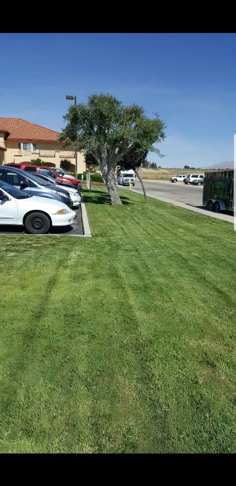 Local landscape installation in Apple Valley, CA by Rodriguez Landscape and Maintenance