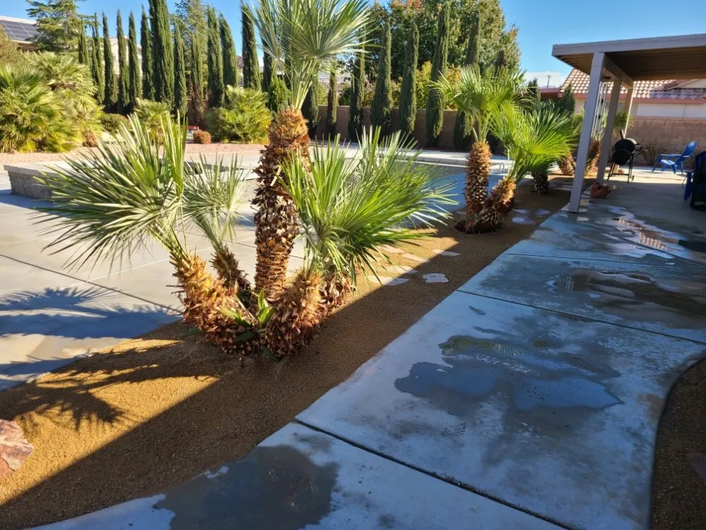 Expert landscaping services in Apple Valley, CA by Rodriguez Landscape and Maintenance