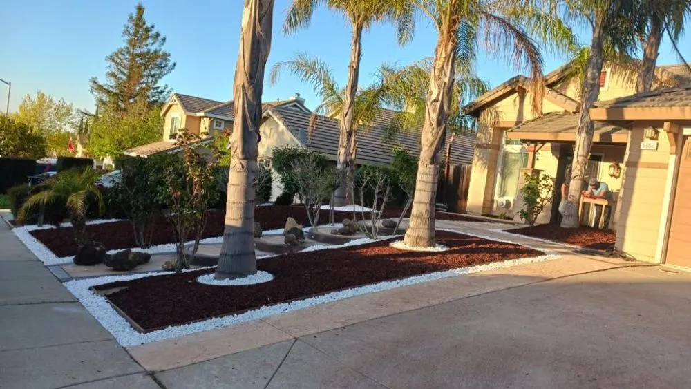 Affordable lawn mowing service in Brentwood, CA - Rodriguez Landscape And Tree Services