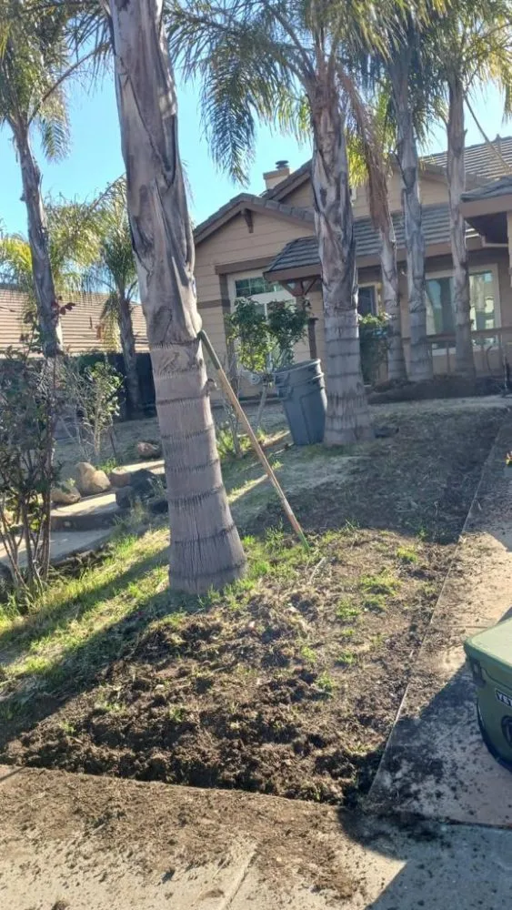 Custom landscaping services in Brentwood, CA - Rodriguez Landscape And Tree Services