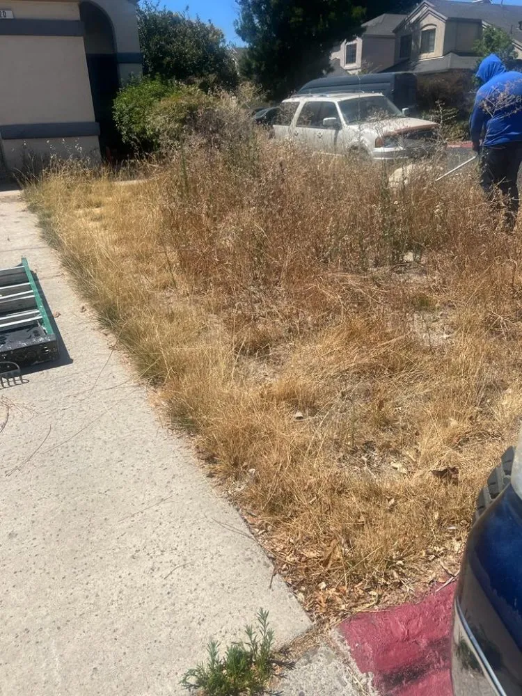 Affordable residential landscaping in Brentwood, CA - Rodriguez Landscape And Tree Services