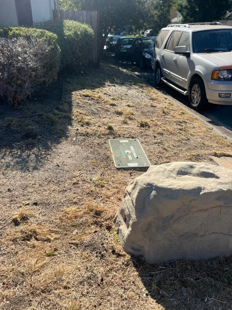 Reliable landscape design for beautiful yards in Brentwood, CA by Rodriguez Landscape And Tree Services