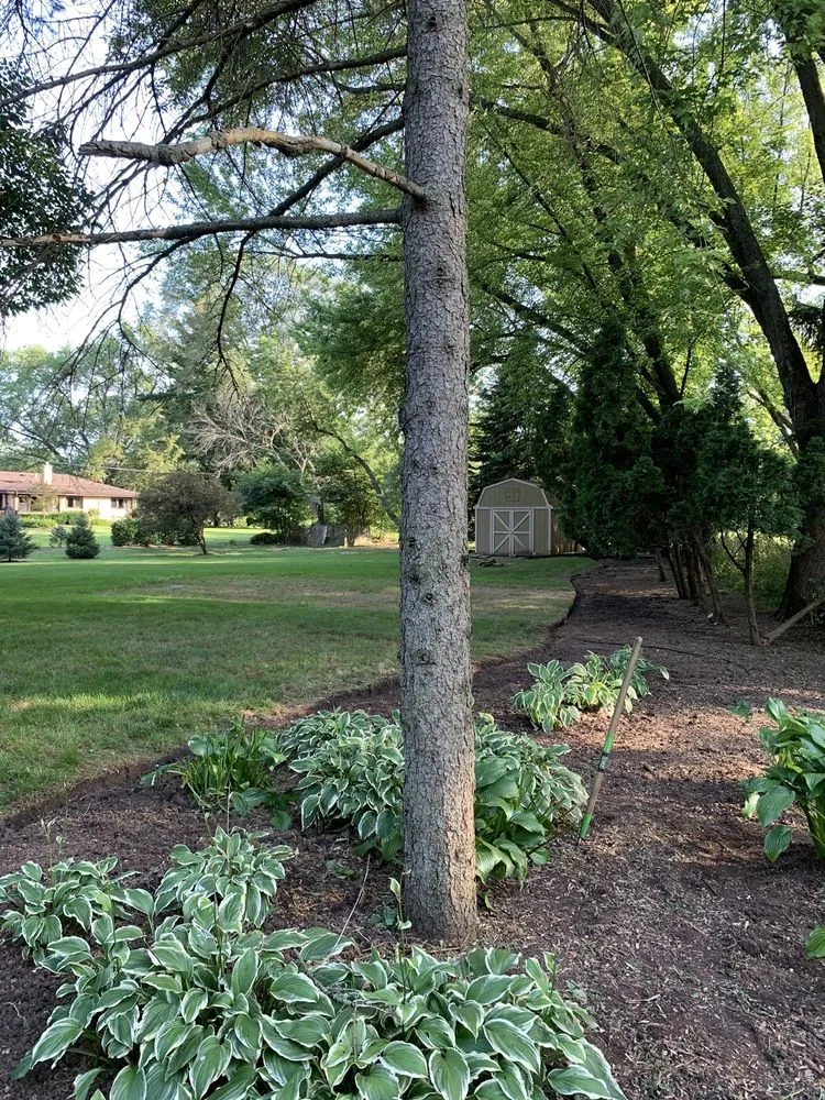 Local garden landscaping near you across Bull Valley, IL - Rodriguez Landscape