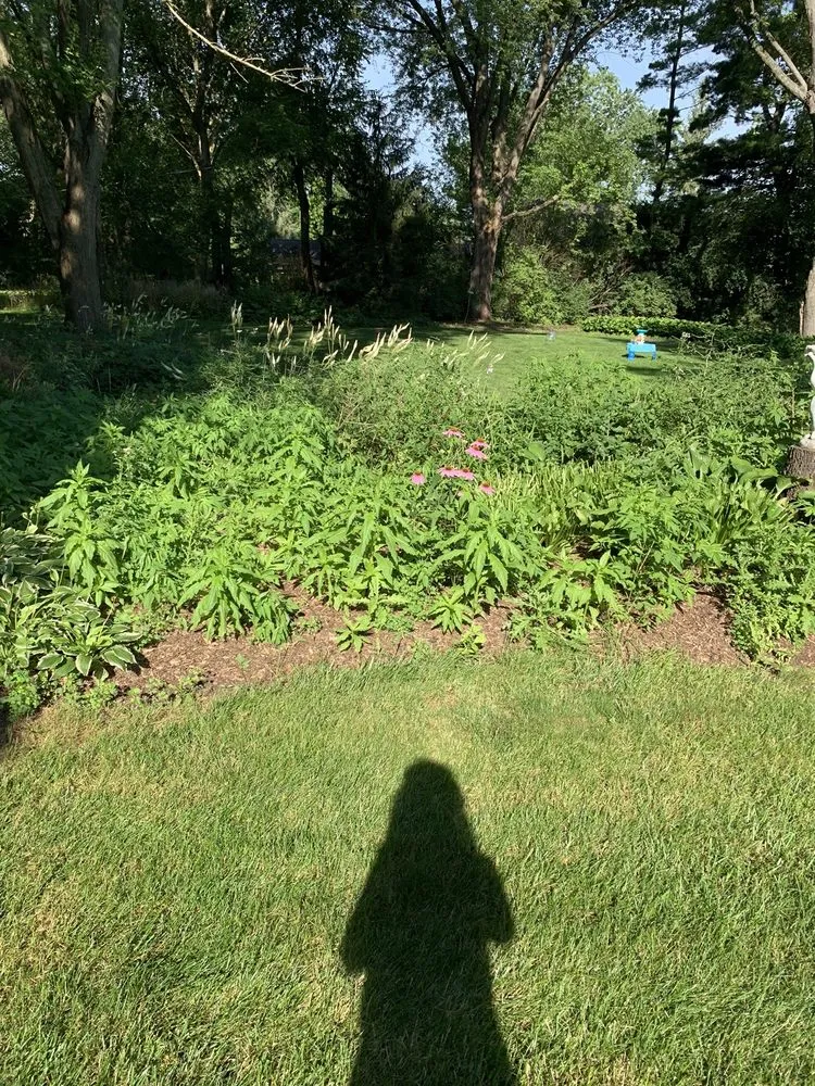 Expert landscaping services experts serving Bull Valley, IL - Rodriguez Landscape