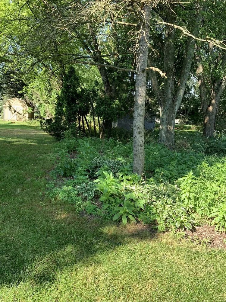 Reliable yard cleanup service in Bull Valley, IL by Rodriguez Landscape