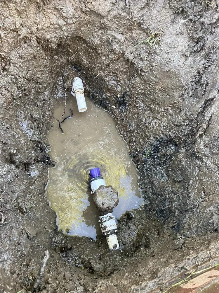 Custom yard cleanup service for year-round maintenance in Hemet, CA by Rodriguez Landscape