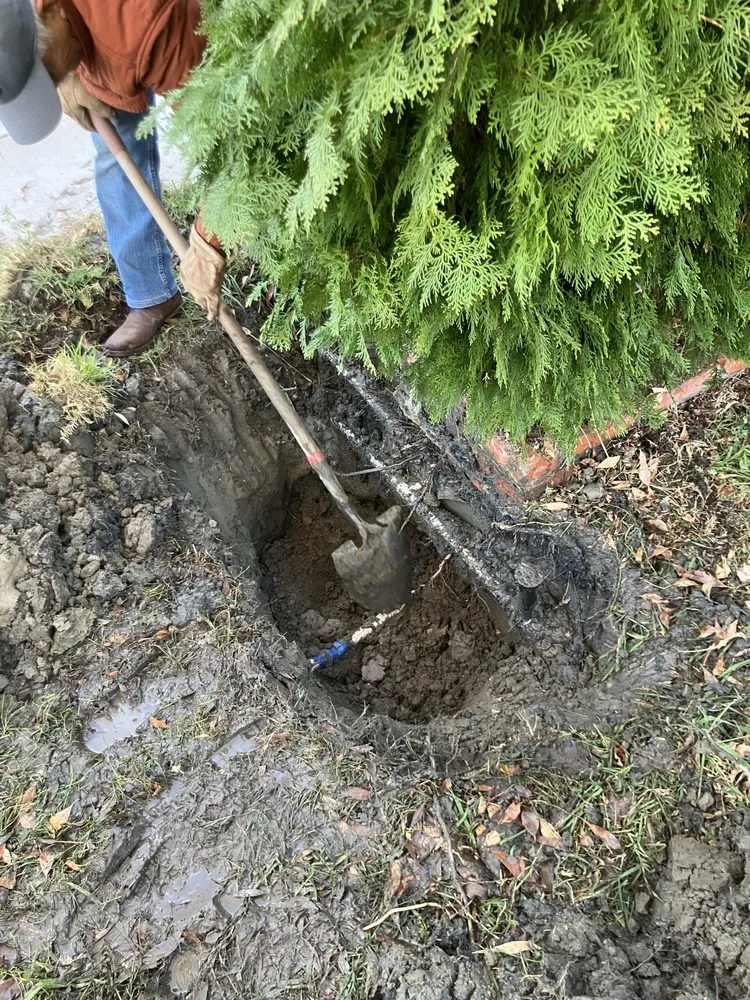 Reliable yard maintenance in Hemet, CA - Rodriguez Landscape