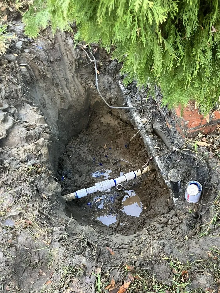 Local residential landscaping in Hemet, CA by Rodriguez Landscape