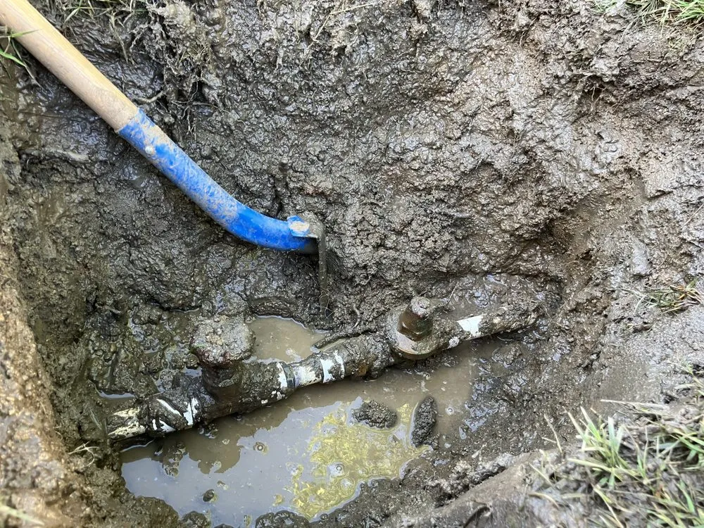 Trusted garden landscaping in Hemet, CA by Rodriguez Landscape