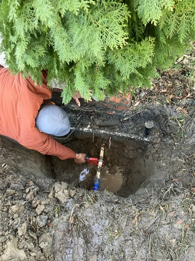 Reliable yard maintenance for year-round maintenance across Hemet, CA - Rodriguez Landscape