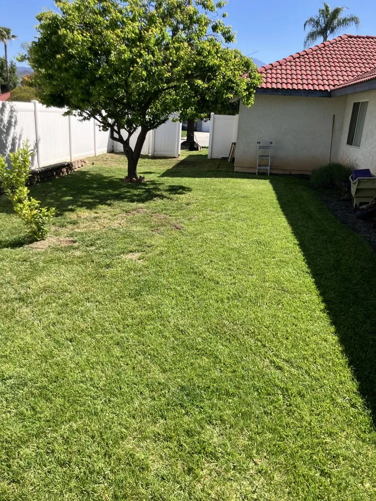 Top-rated yard maintenance experts serving Hemet, CA - Rodriguez Landscape