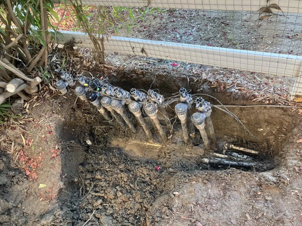 Reliable landscaping services experts serving Hemet, CA - Rodriguez Landscape