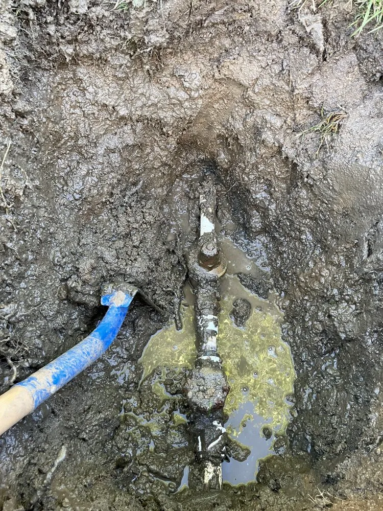 Affordable yard maintenance for year-round maintenance across Hemet, CA - Rodriguez Landscape