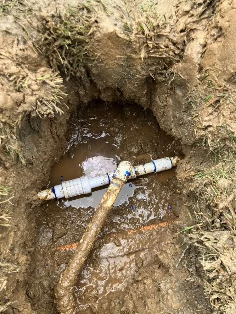 Local lawn care service in Hemet, CA - Rodriguez Landscape