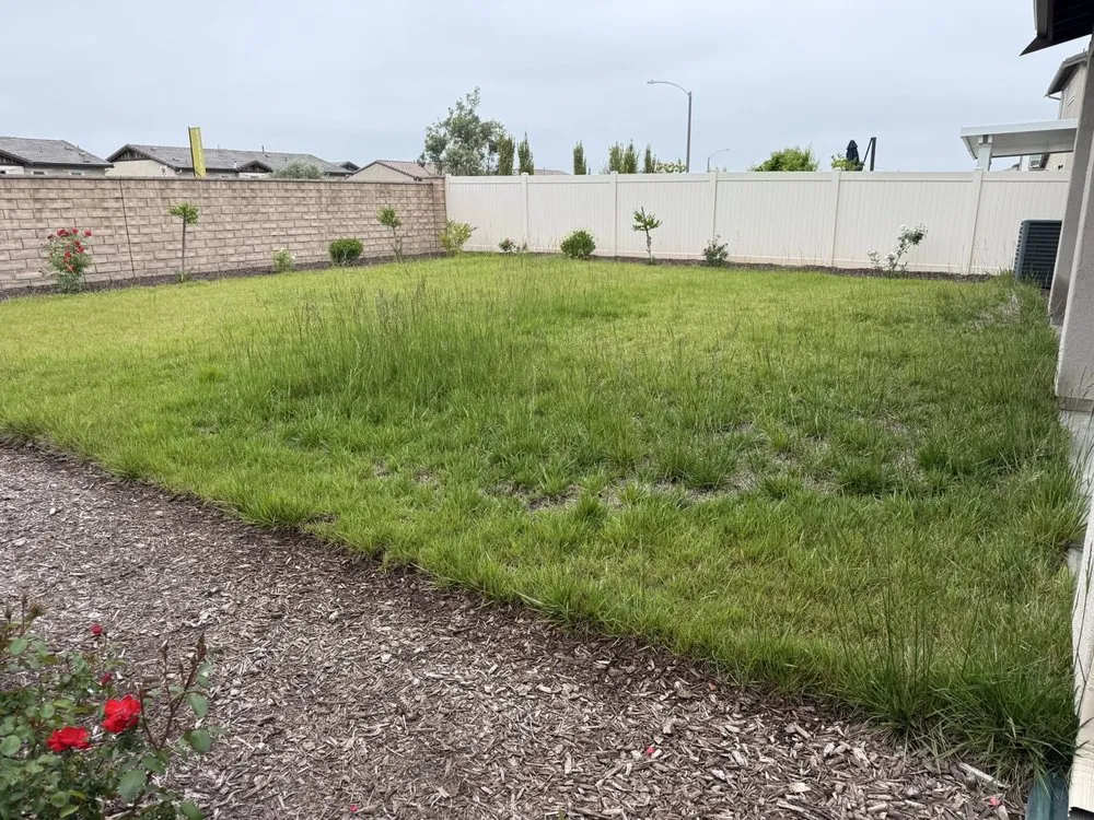 Custom yard maintenance for outdoor upgrades across Hemet, CA - Rodriguez Landscape