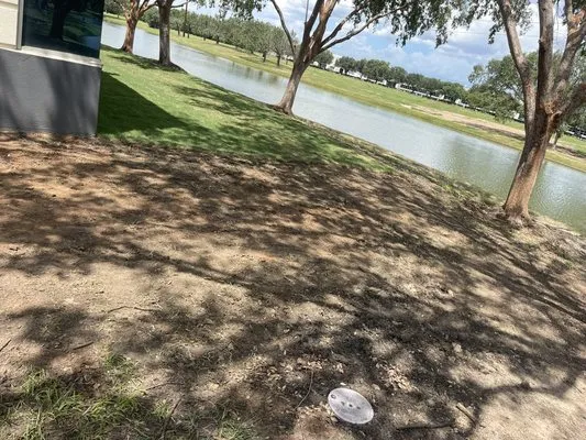 Rodriguez landscape Logo