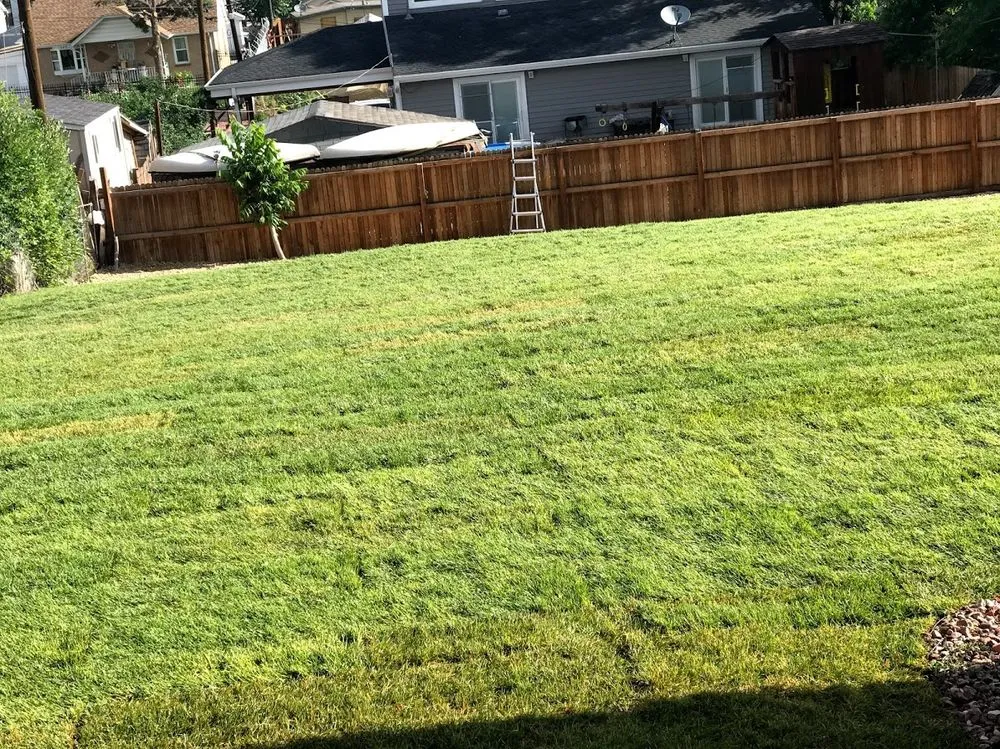 Trusted lawn mowing service in Denver, CO - Rodriguez Landscape, Inc