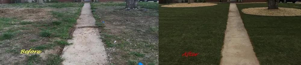 Reliable landscape installation for beautiful yards across Denver, CO - Rodriguez Landscape, Inc