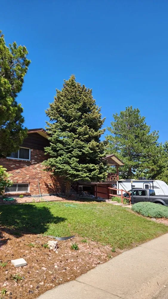 Top-rated lawn care service in Denver, CO by Rodriguez Landscape, Inc