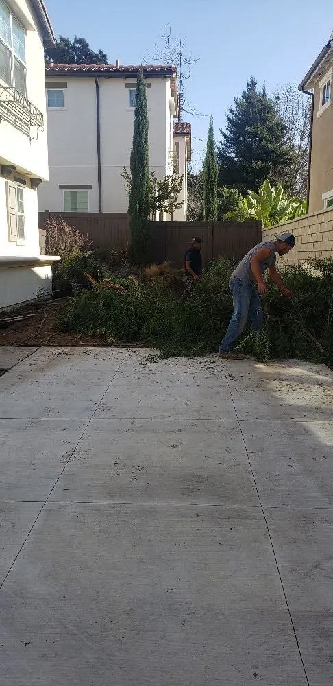 Affordable lawn care service in Perris, CA - Rodriguez Landscape Renovation