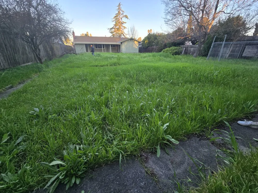 Affordable yard cleanup service in Yuba City, CA - Rodriguez Landscape Service's