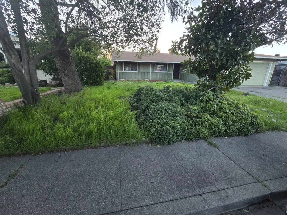 Trusted landscape installation in Yuba City, CA - Rodriguez Landscape Service's