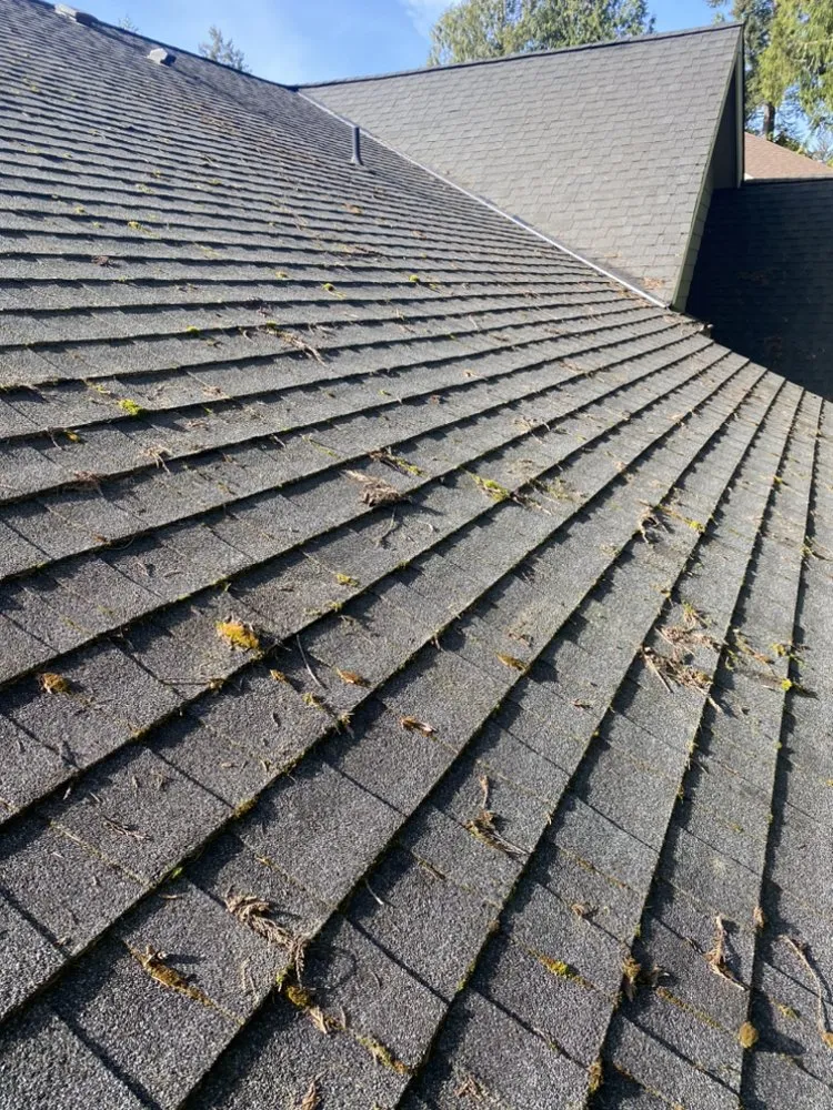 Custom landscape design near you across Shelton, WA - Rodriguez Landscape