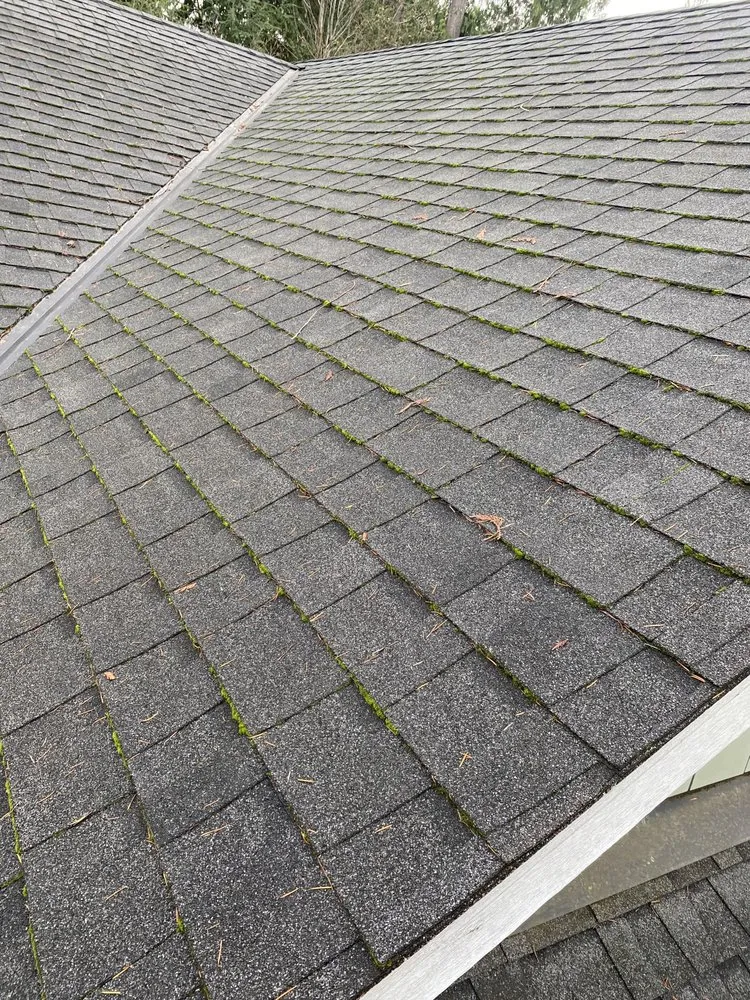 Top-rated outdoor landscaping experts serving Shelton, WA - Rodriguez Landscape