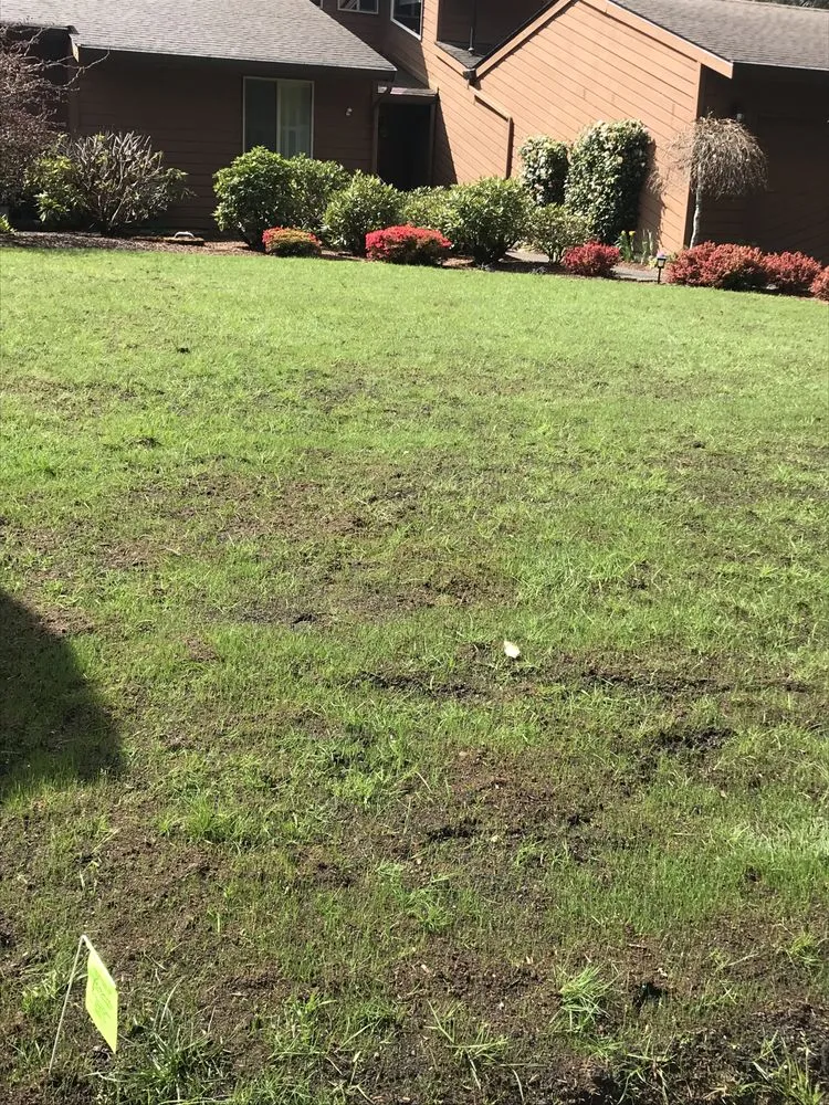 Local lawn mowing service in Shelton, WA - Rodriguez Landscape