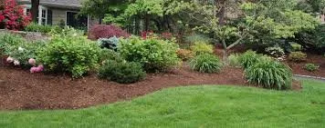 Trusted lawn care service for residential properties in Novato, CA by Rodriguez Landscaping & Gardening Service