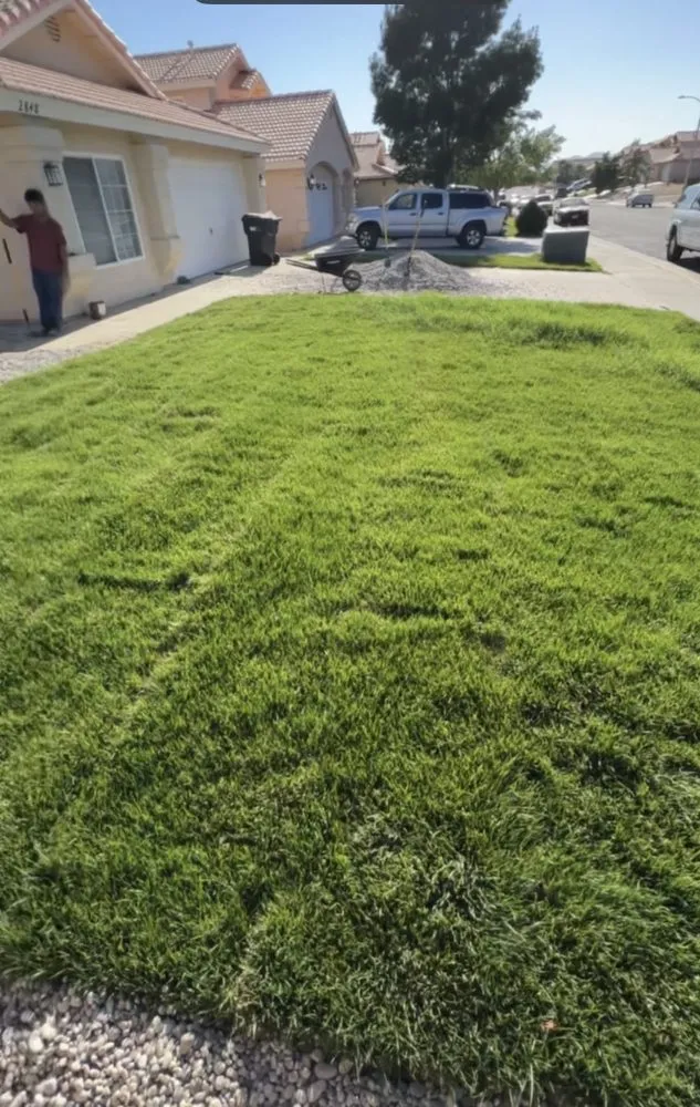 Top-rated lawn care service for homes across Lancaster, CA - Rodriguez Landscaping & Gardening Services