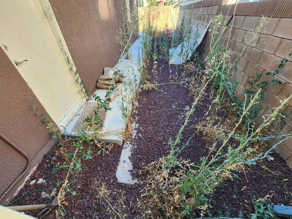 Top-rated landscape installation in Lancaster, CA - Rodriguez Landscaping & Gardening Services