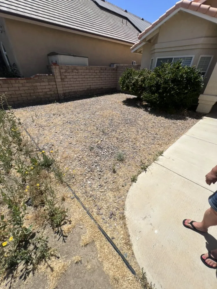 Local yard maintenance in Lancaster, CA - Rodriguez Landscaping & Gardening Services