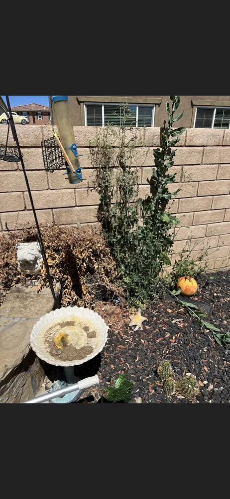 Expert residential landscaping near you across Lancaster, CA - Rodriguez Landscaping & Gardening Services