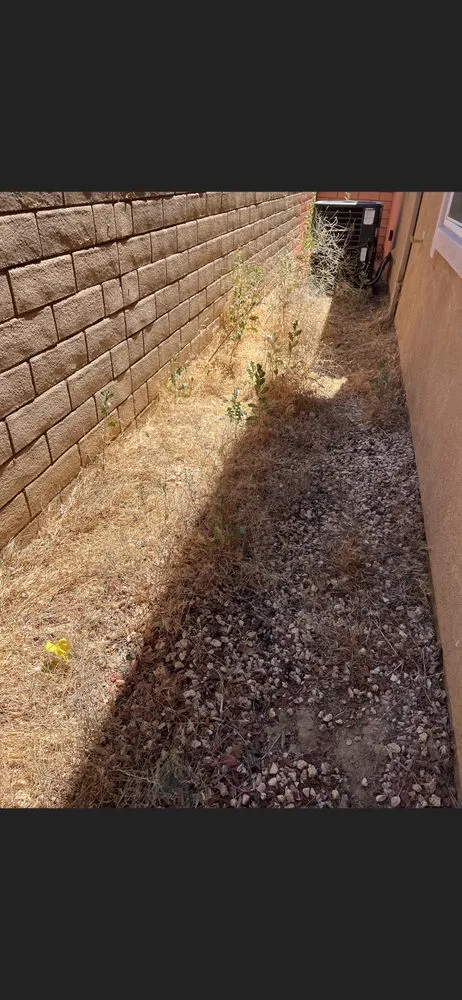 Professional yard cleanup service for outdoor upgrades in Lancaster, CA by Rodriguez Landscaping & Gardening Services