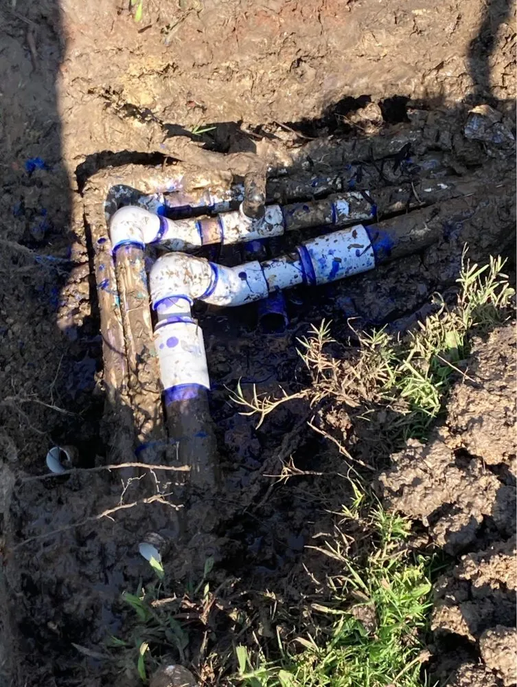 Professional yard cleanup service in Plano, TX - Rodriguez Landscaping & Irrigation