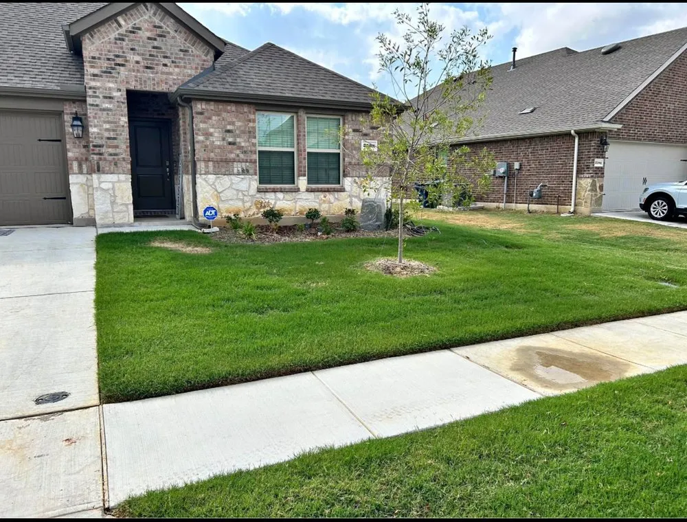 Local landscape installation experts serving Plano, TX - Rodriguez Landscaping & Irrigation