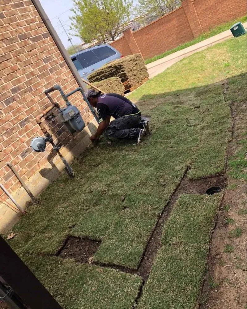 Trusted yard cleanup service in Plano, TX by Rodriguez Landscaping & Irrigation