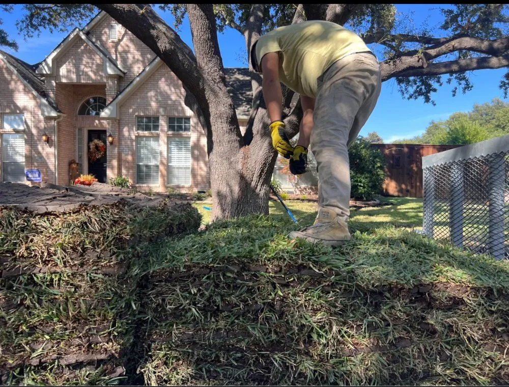 Trusted lawn mowing service near you in Plano, TX by Rodriguez Landscaping & Irrigation