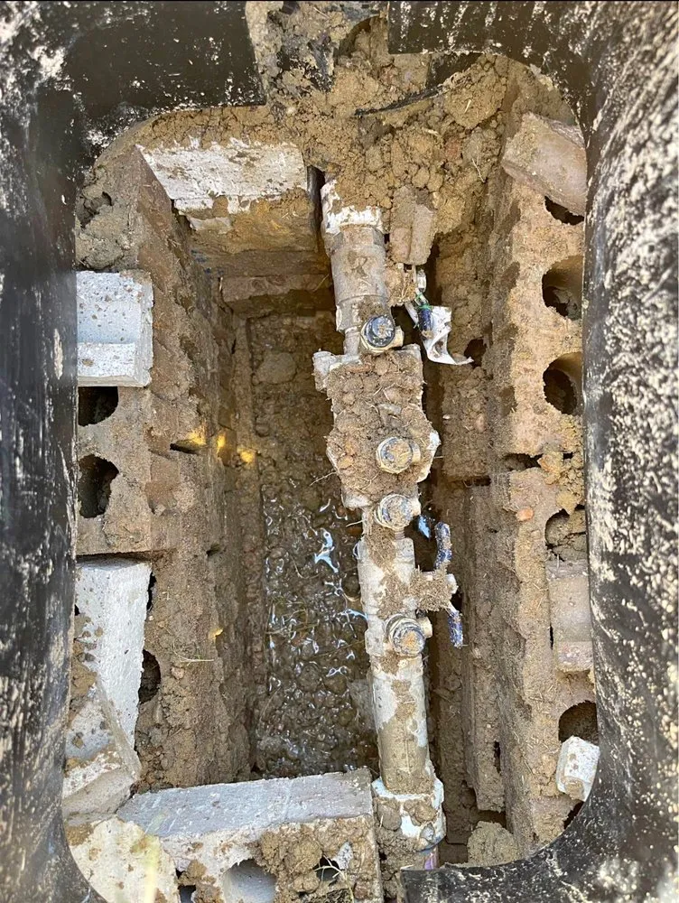 Professional landscaping services near you in Plano, TX by Rodriguez Landscaping & Irrigation