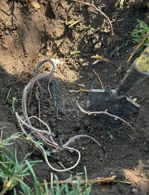 Rodriguez Landscaping & Irrigation Logo