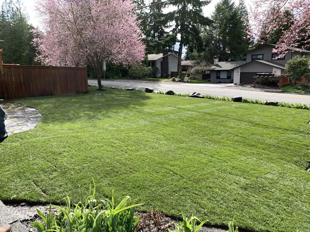 Expert lawn mowing service for residential properties across Lynnwood, WA - Rodriguez Landscaping & Maintenance