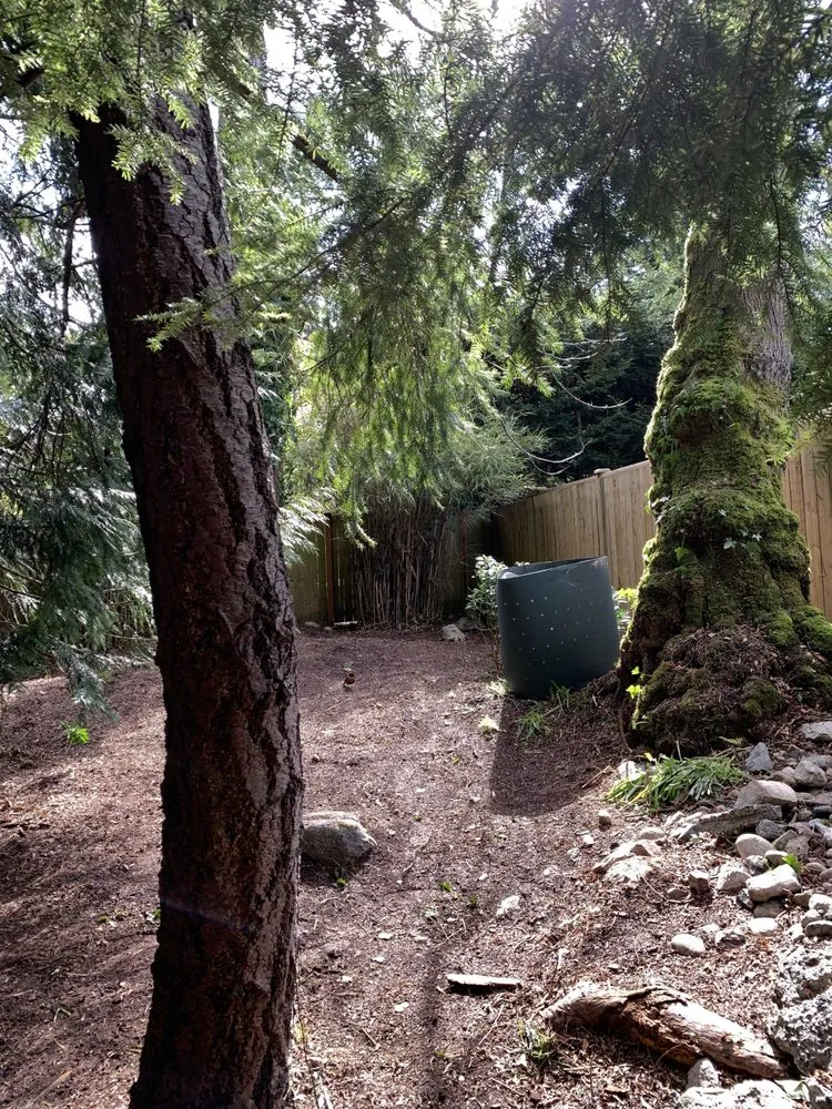 Affordable outdoor landscaping in Lynnwood, WA - Rodriguez Landscaping & Maintenance